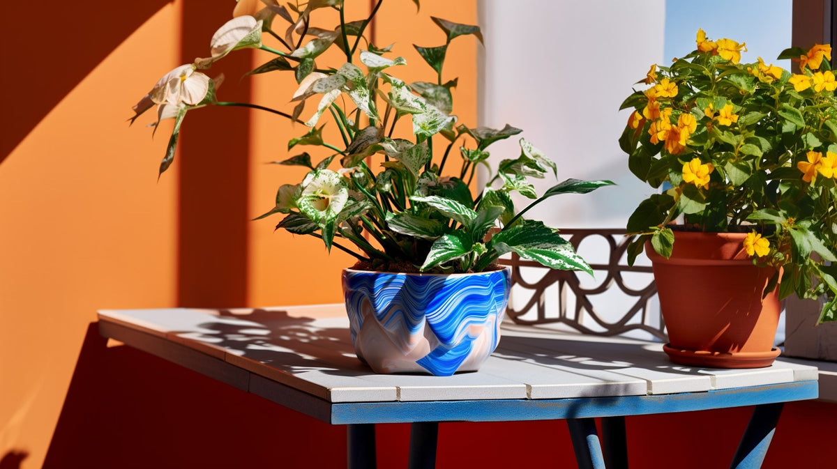 Home & Decor