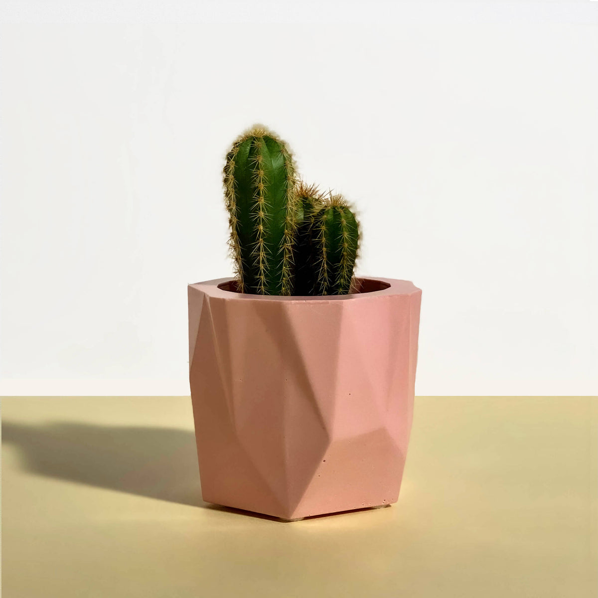 Baby Pink Geometric Planter