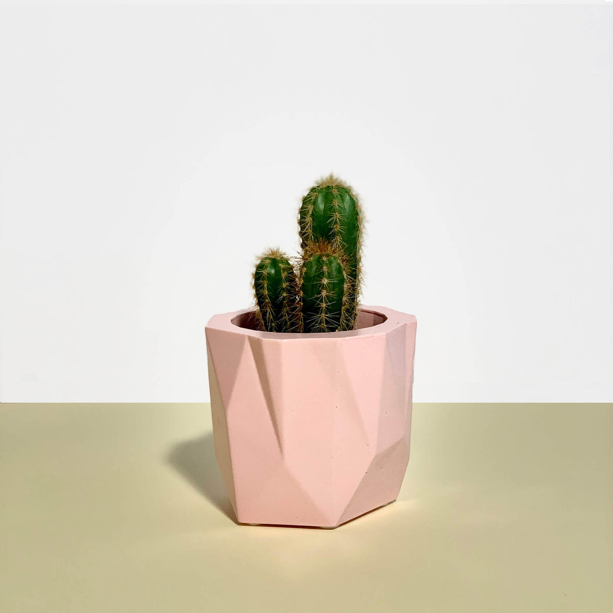 Baby Pink Geometric Planter