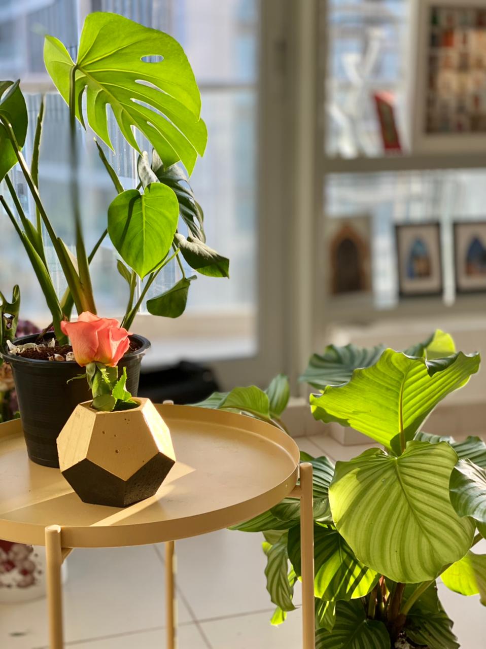 Concrete Dodecahedron Planter