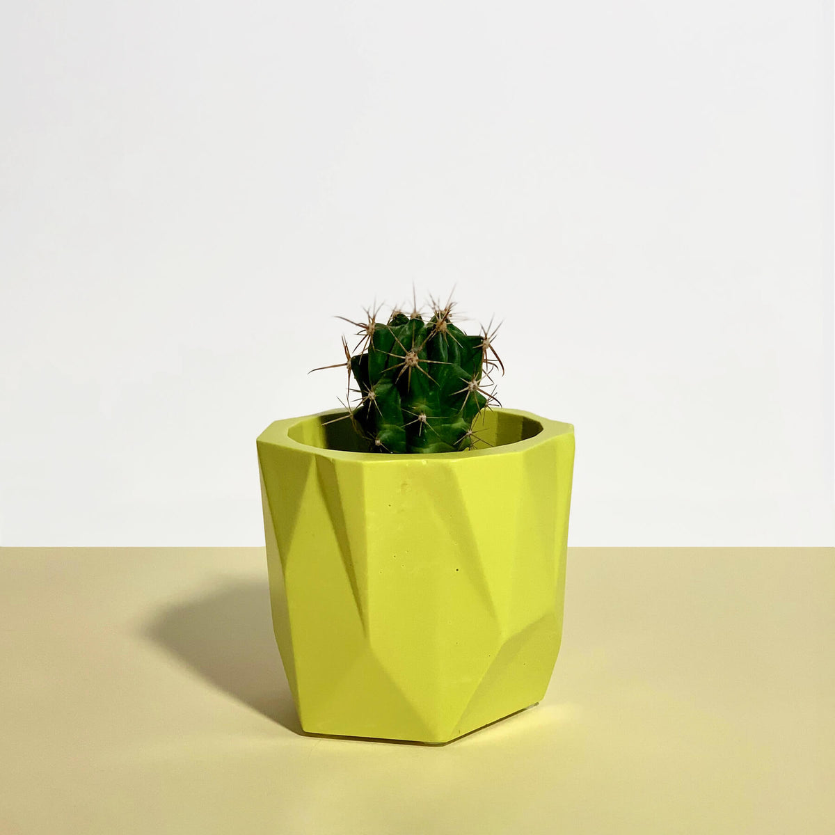 Lime Green Geometric Planter