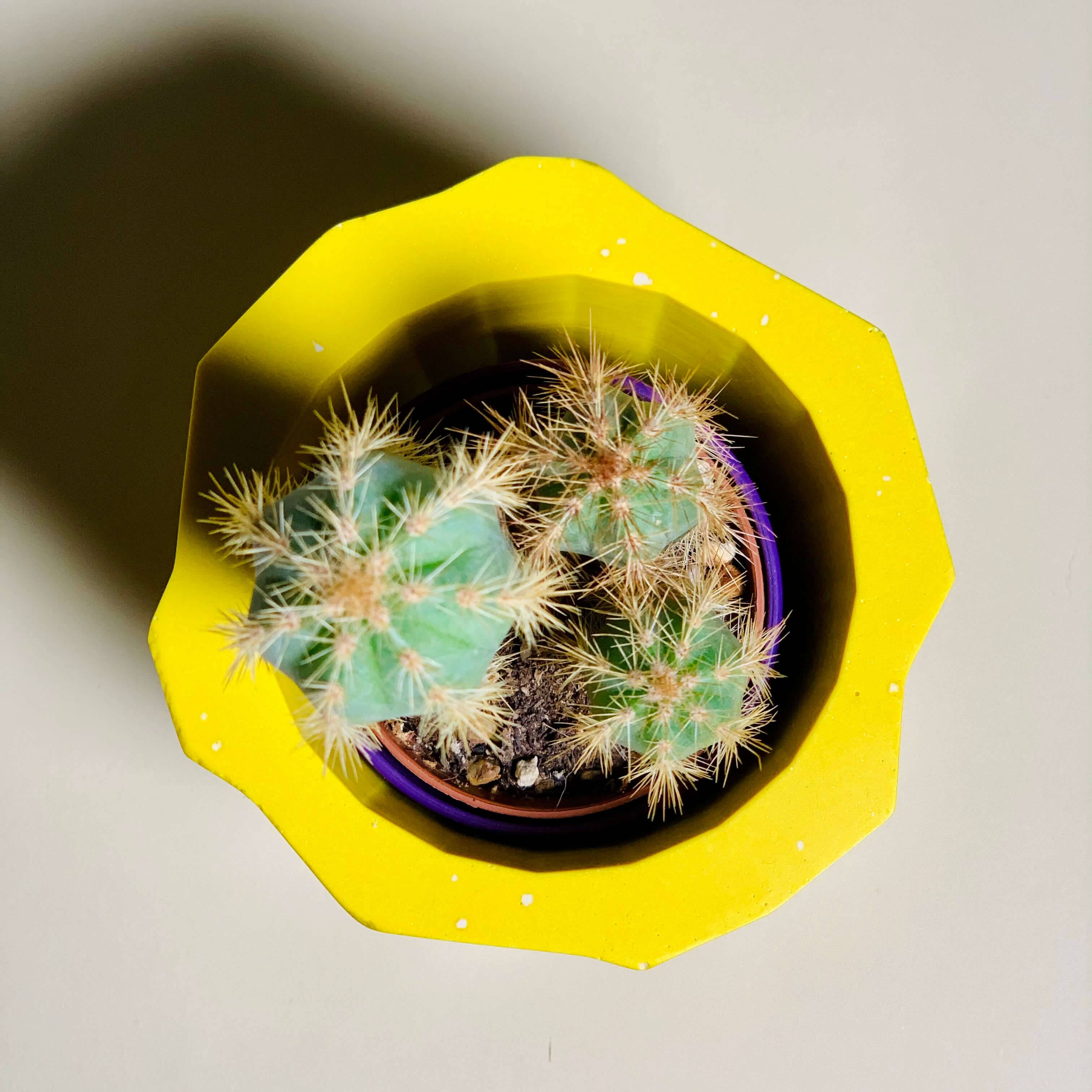 Yellow Geometric Planter