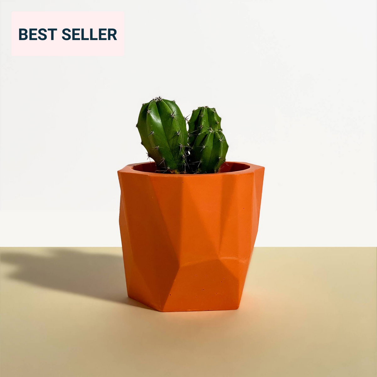 Coral Geometric Planter