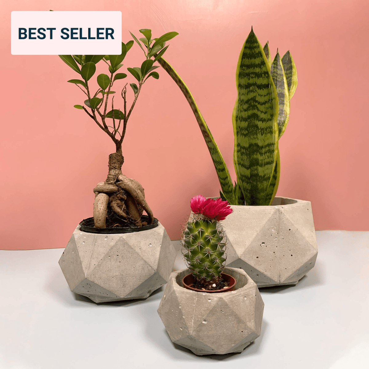 Polygon Pots - True Concrete Color
