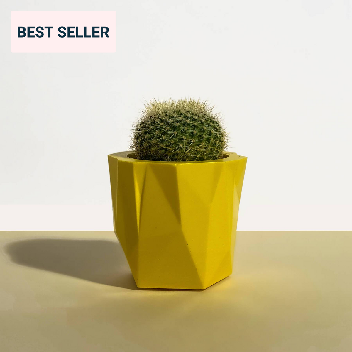 Yellow Geometric Planter