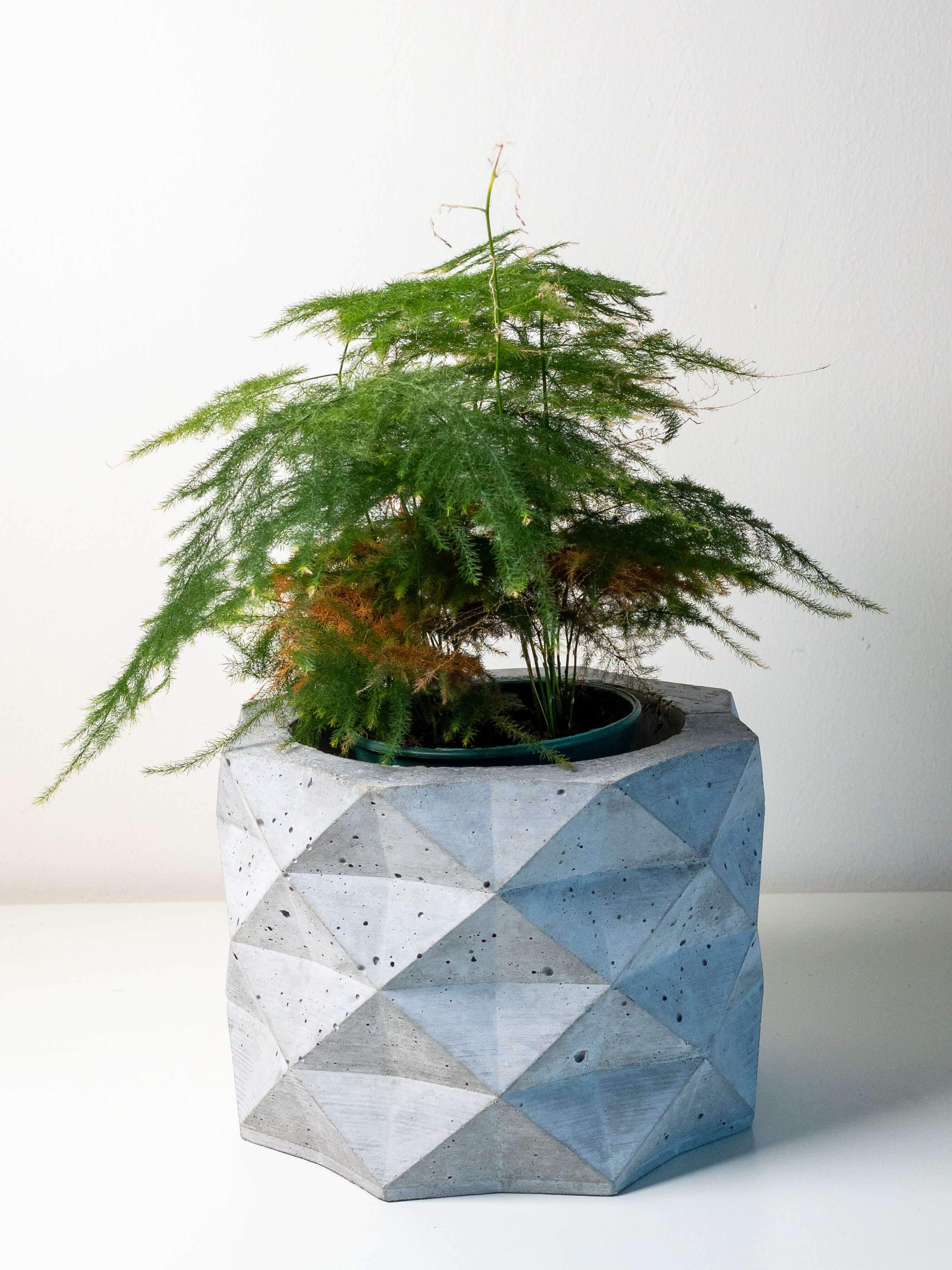 PolyPot - Set of 3 Geometric Pot Planters