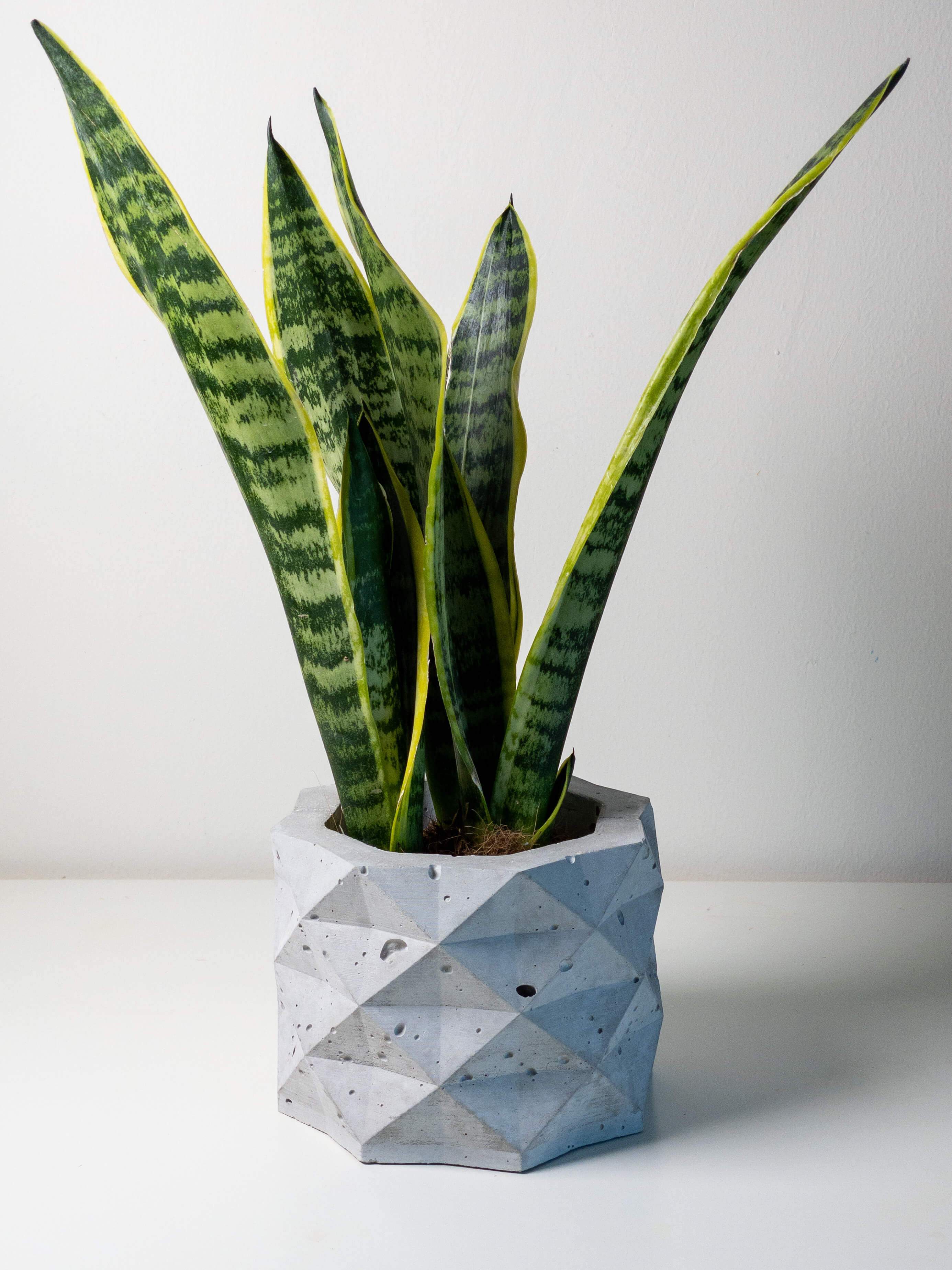 PolyPot - Set of 3 Geometric Pot Planters