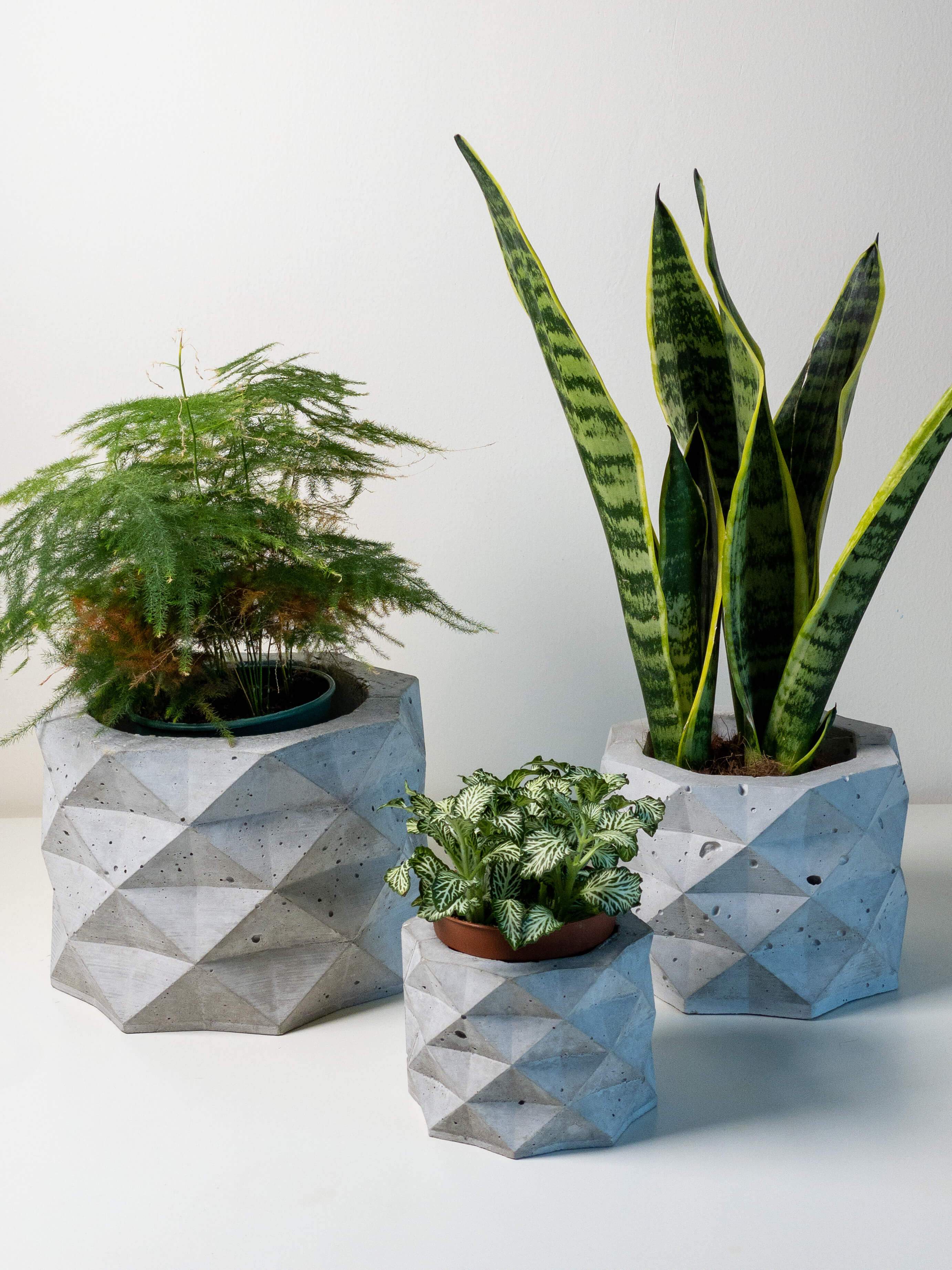 PolyPot - Set of 3 Geometric Pot Planters