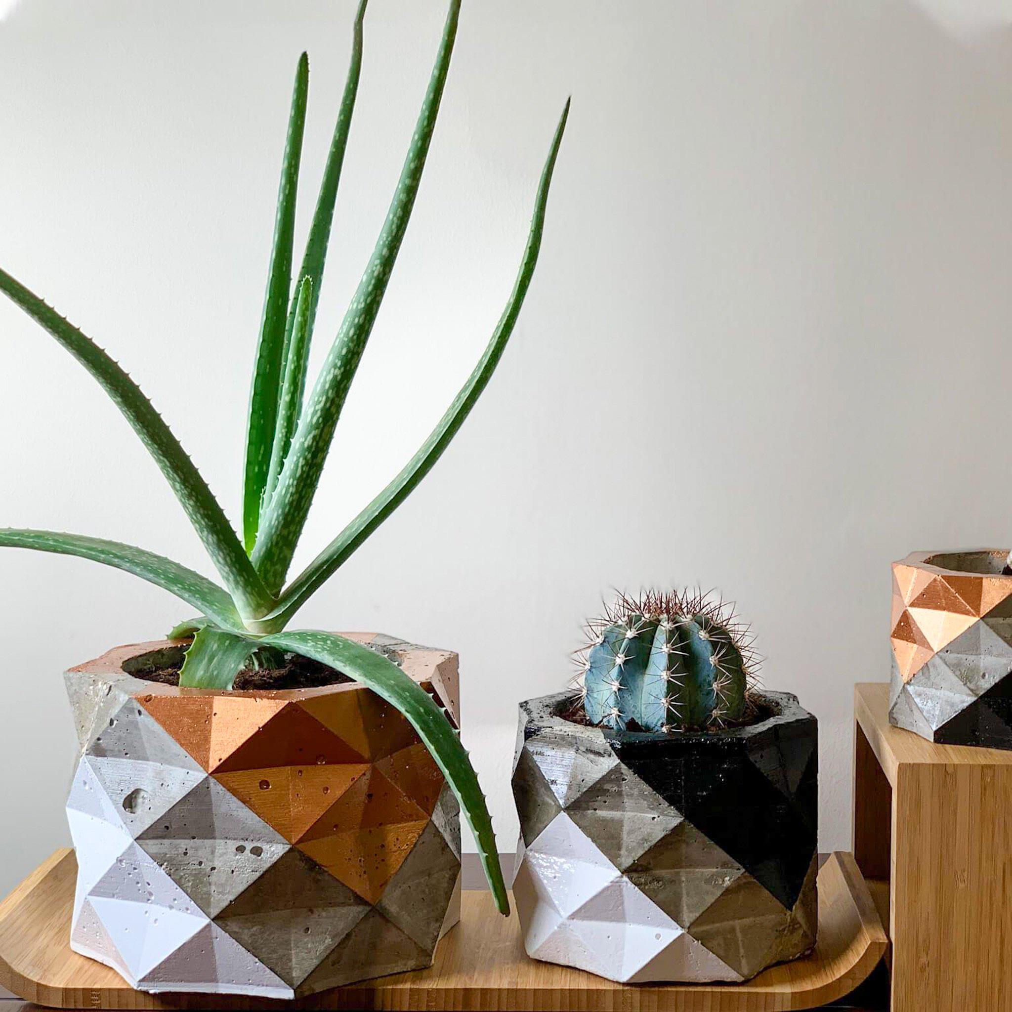PolyPot - Set of 3 Geometric Pot Planters