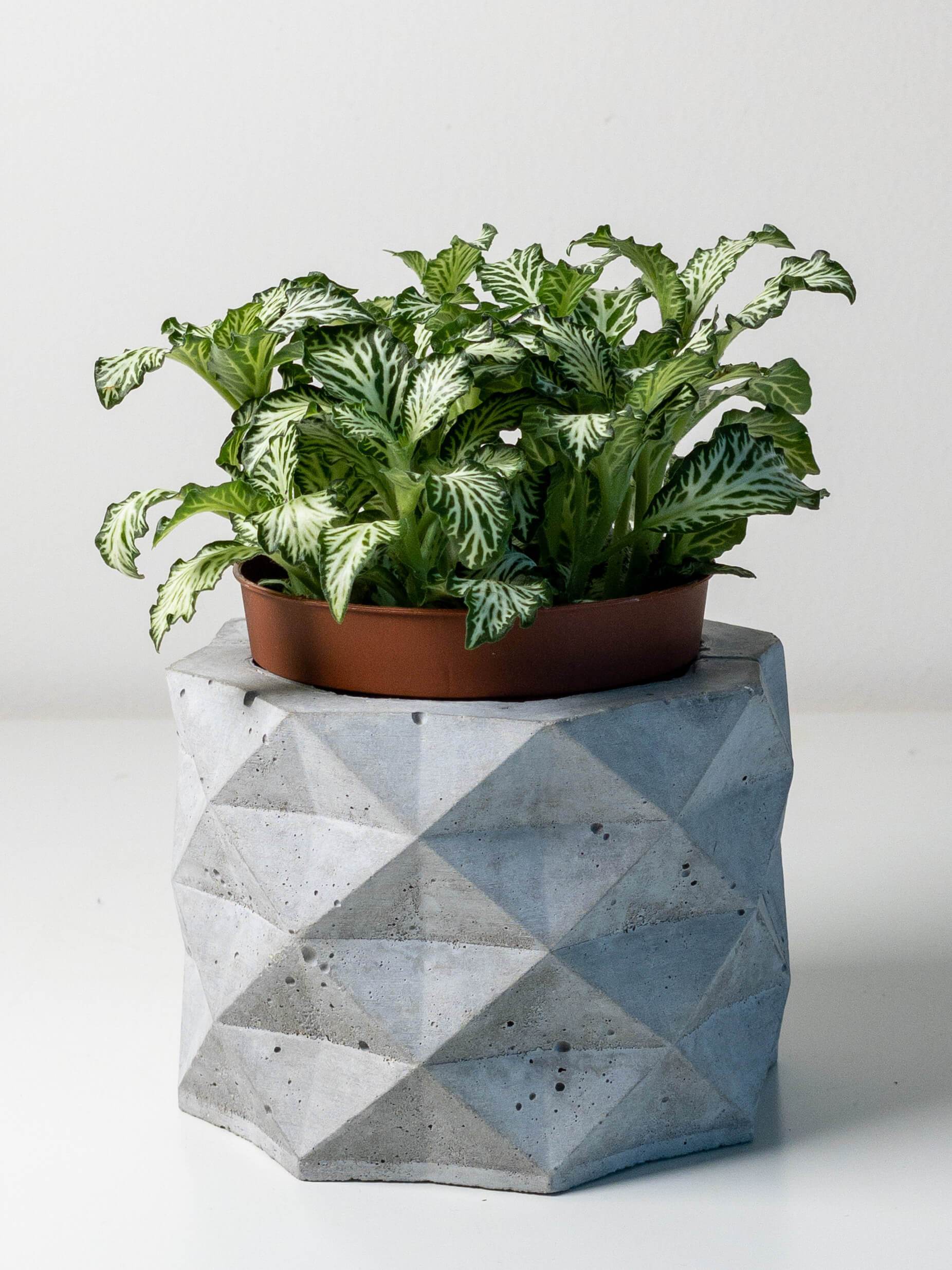 PolyPot - Set of 3 Geometric Pot Planters