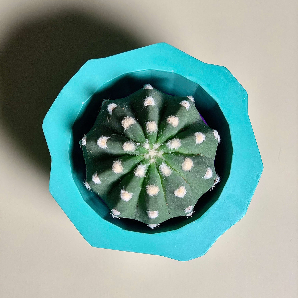 Turquoise Geometric Planter
