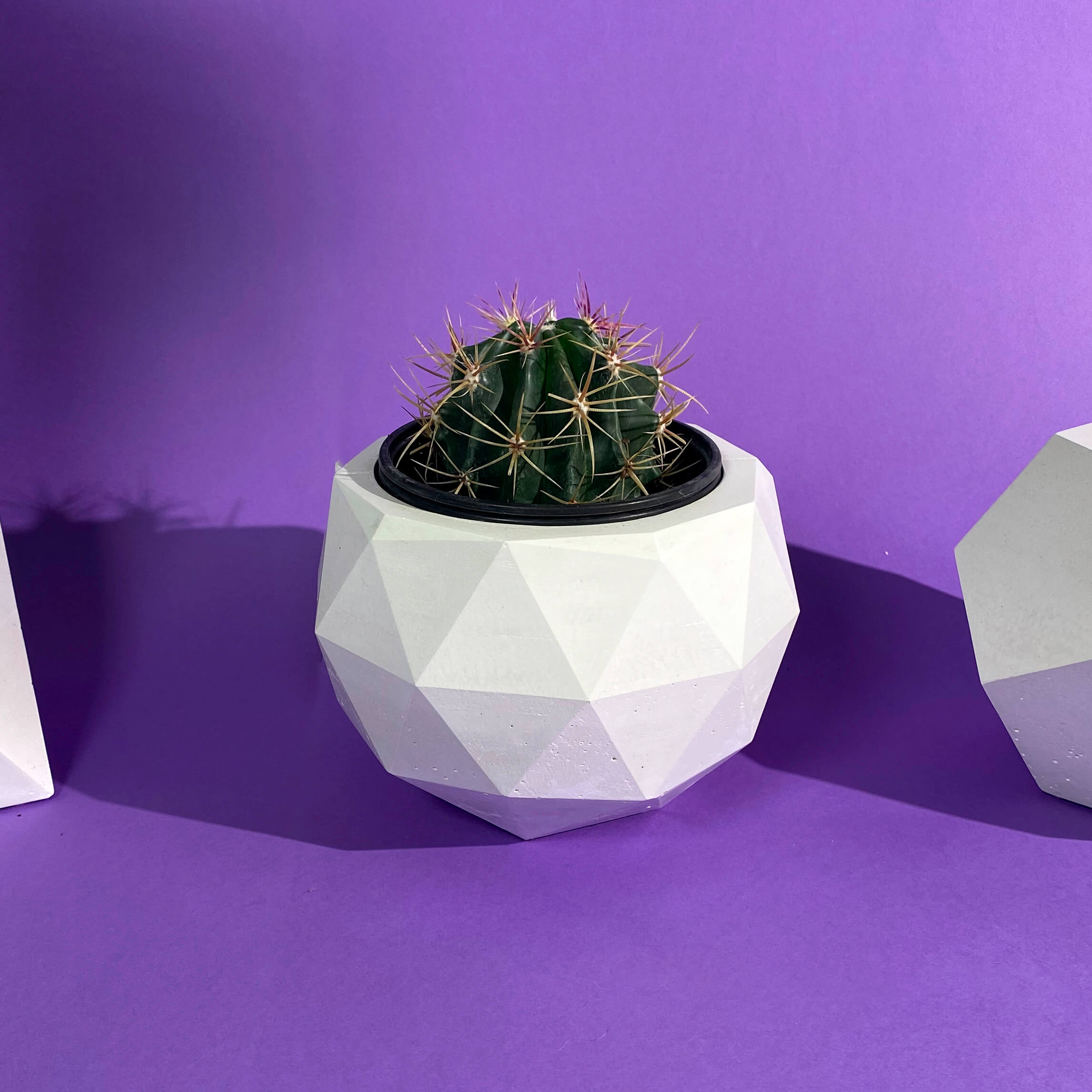 Modern Geometric Planters in White Concrete