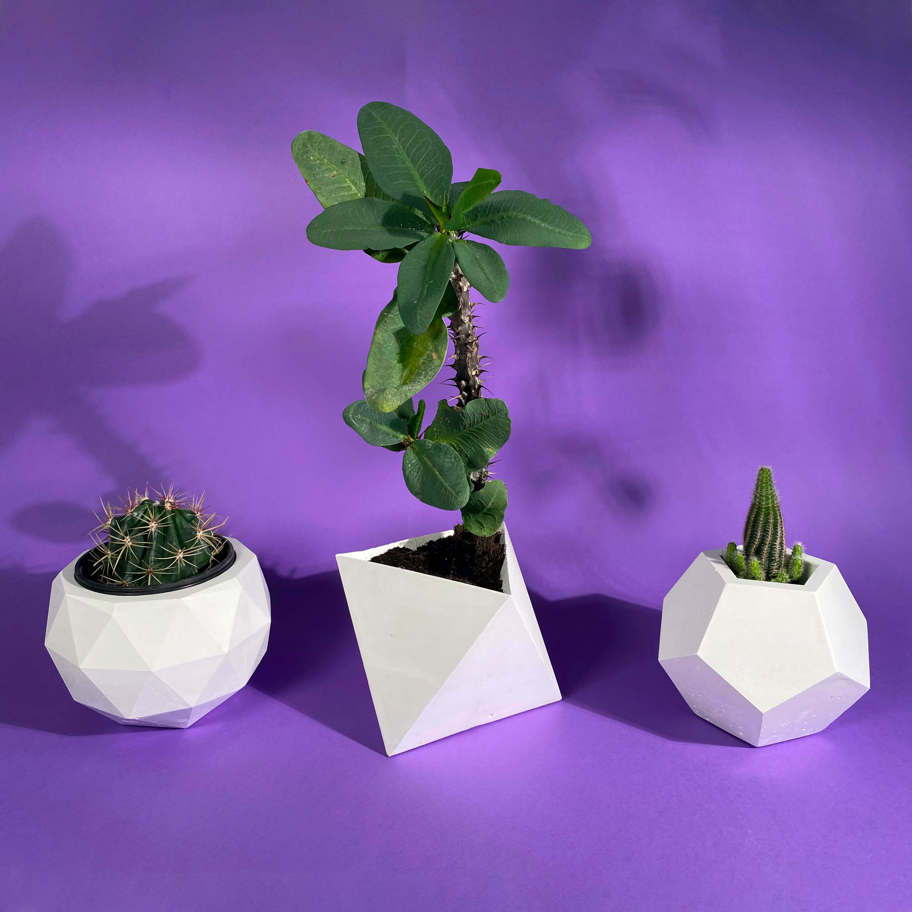 Modern Geometric Planters in White Concrete