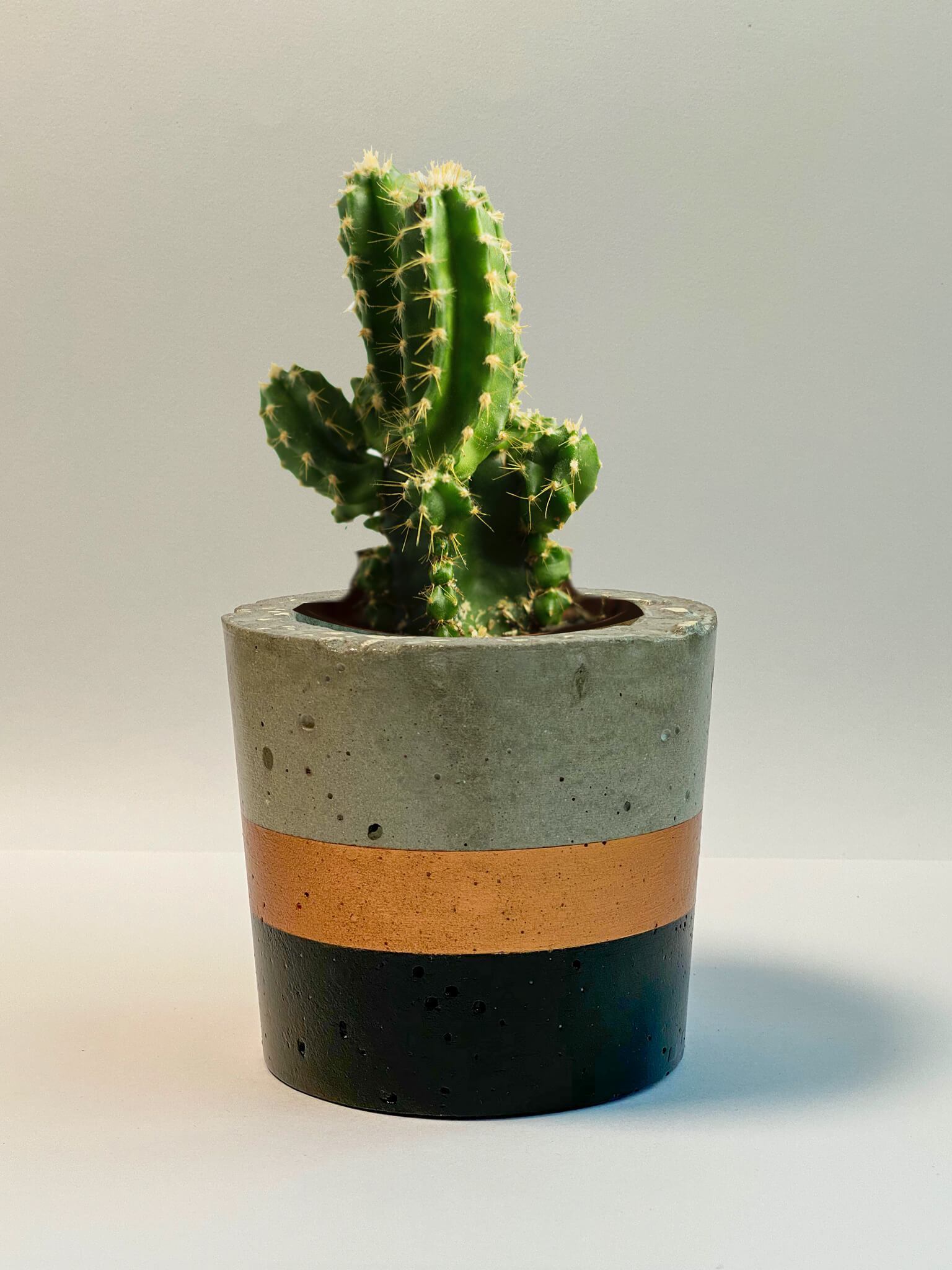 Black & Bronze Pots Planter