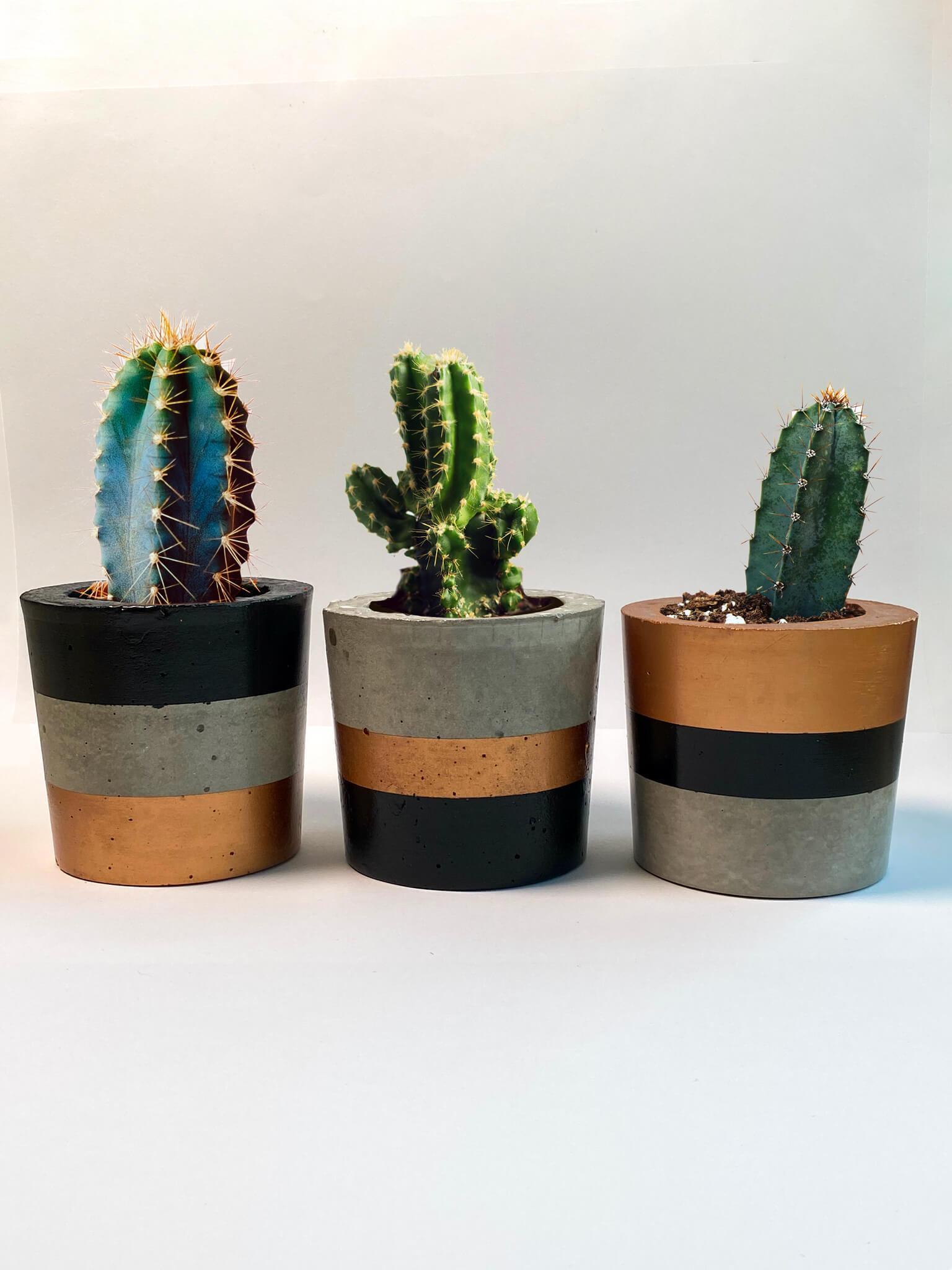 Black & Bronze Pots Planter