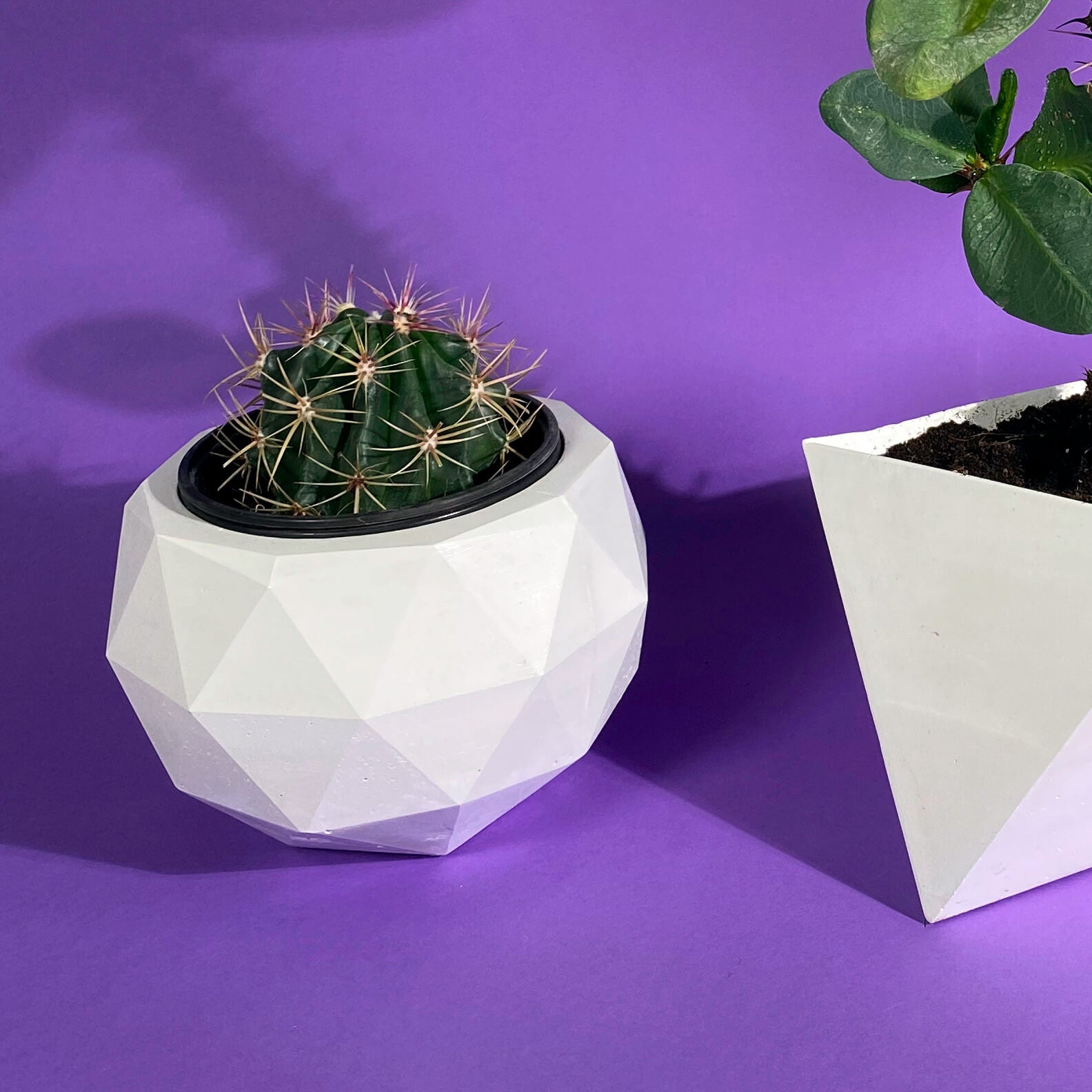 Modern Geometric Planters in White Concrete