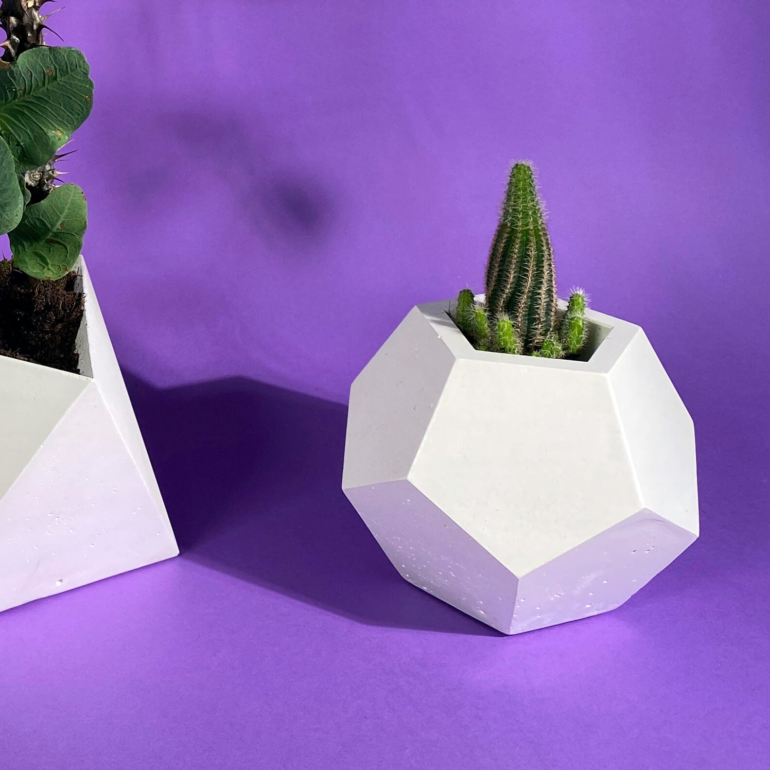 Modern Geometric Planters in White Concrete