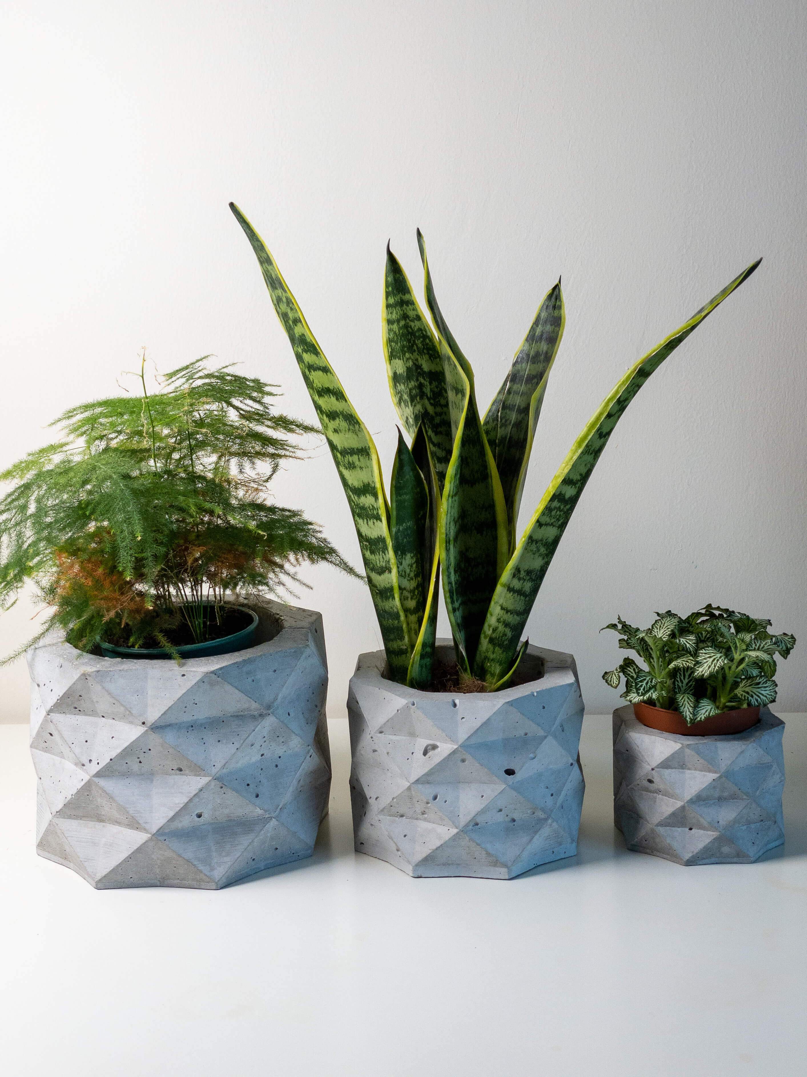 PolyPot - Set of 3 Geometric Pot Planters